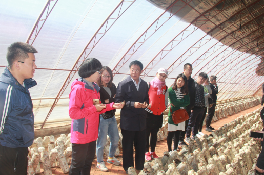 20170524/4261eccc92601bb92bca70d391416500.png 4261eccc92601bb92bca70d391416500.png